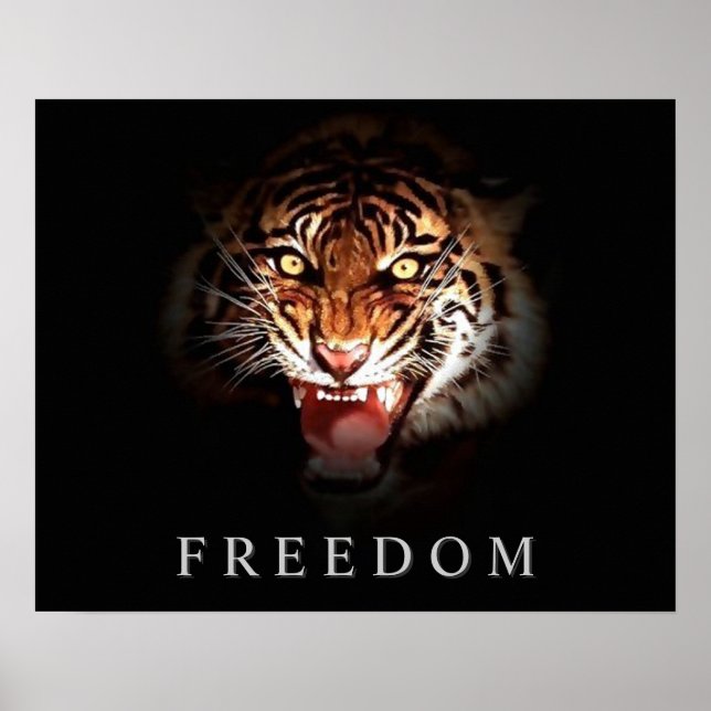 Motivational Freedom Roaring Tiger Poster Print (Front)