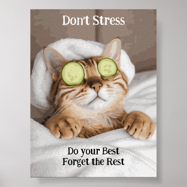 Motivational Funny Inspirational Cat Poster (Front)