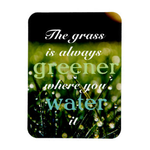 Motivational  Grass is greener where you water it Magnet