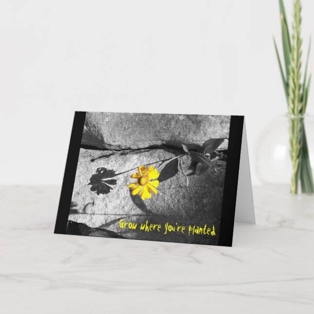Motivational "Grow where you're planted" Card (Front)