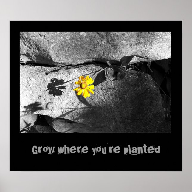 Motivational "Growth" Poster (Front)