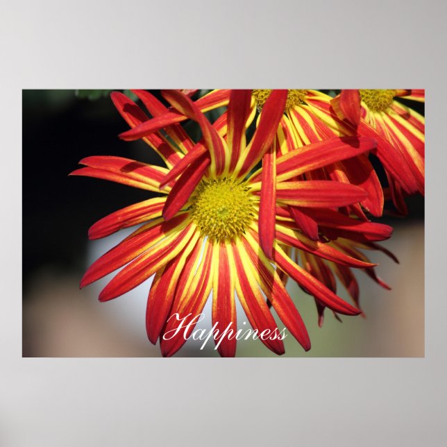 Motivational Happiness Poster (Front)