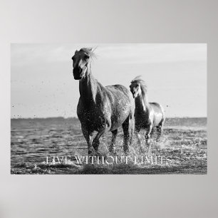 Motivational Horses Live Without Limits Poster