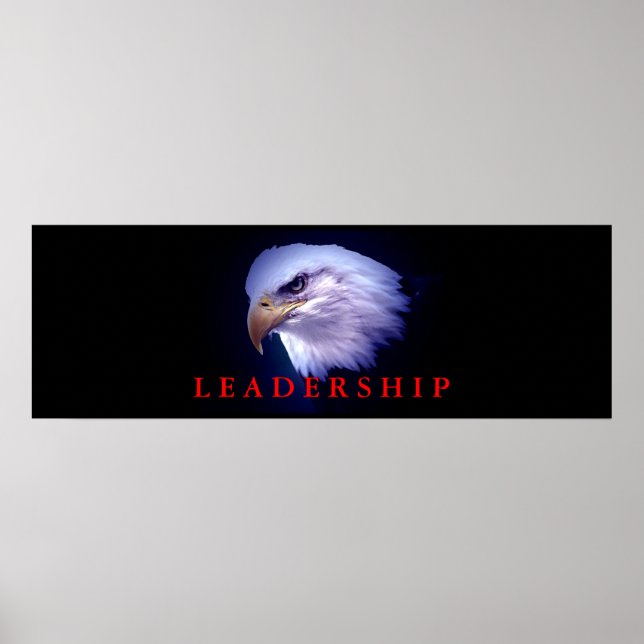 Motivational Leadership Eagle Eyes Blue Red Poster (Front)
