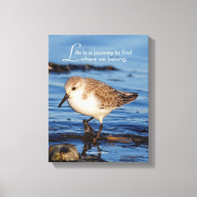 Motivational "Life is a Journey" Sanderling Canvas Print (Front)