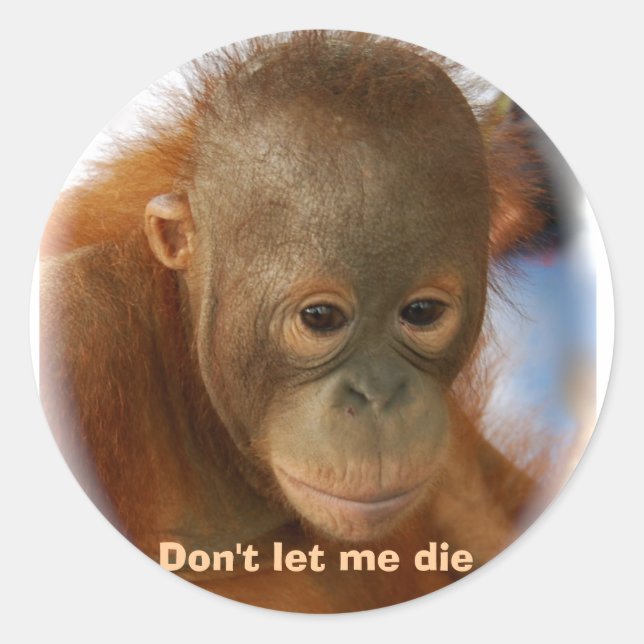 Motivational Love for All Animal Life Classic Round Sticker (Front)