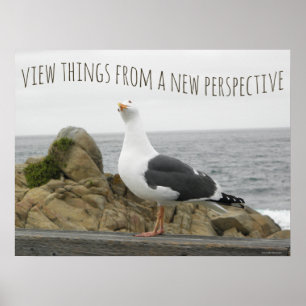 Motivational New Perspective Seagull Bird Saying Poster
