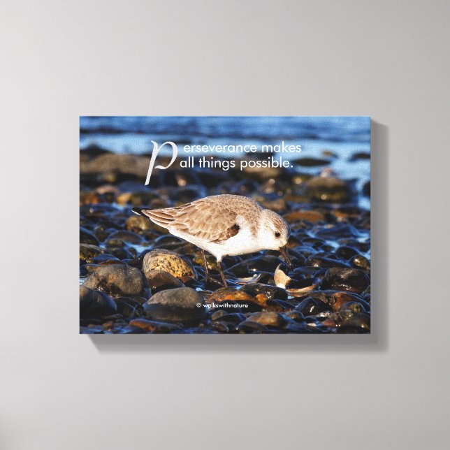 Motivational "Perseverance Makes ..." Sanderling Canvas Print (Front)