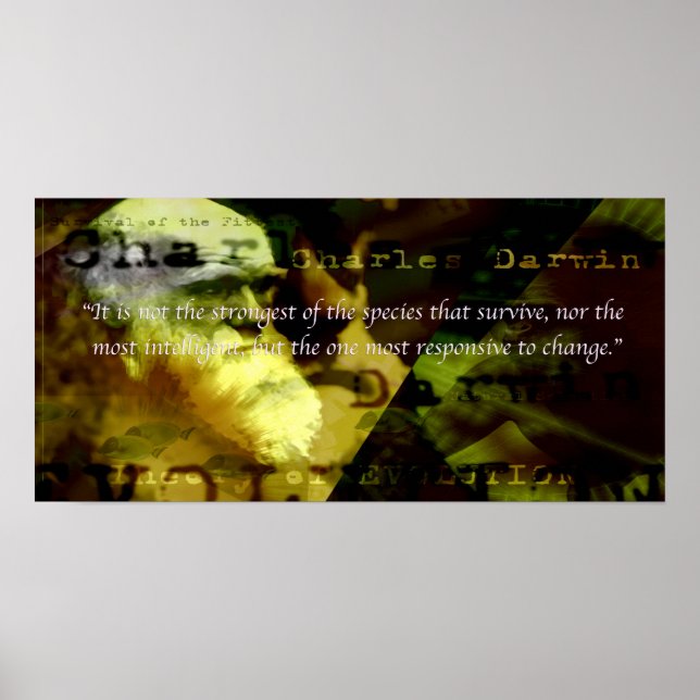 Motivational Poster (Front)