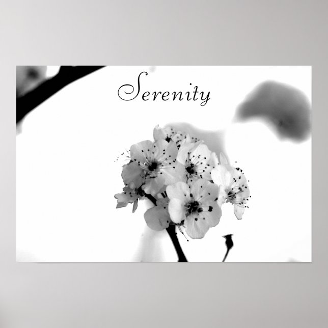Motivational Poster-Serenity Poster (Front)