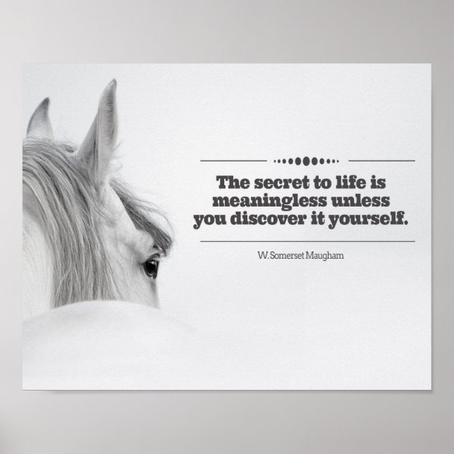 Motivational Poster "The Secret to Life..." (Front)