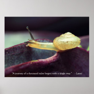 Motivational Quote Perseverance Persistence Poster