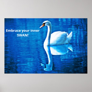 Motivational Thought Swan Reflection Blue & White Poster