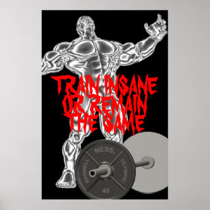 Motivational Train Insane Weightlifting Poster