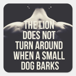 Motivational Words - The Lion Does Not Turn Around Square Sticker