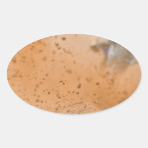 Motocross Roost Oval Sticker