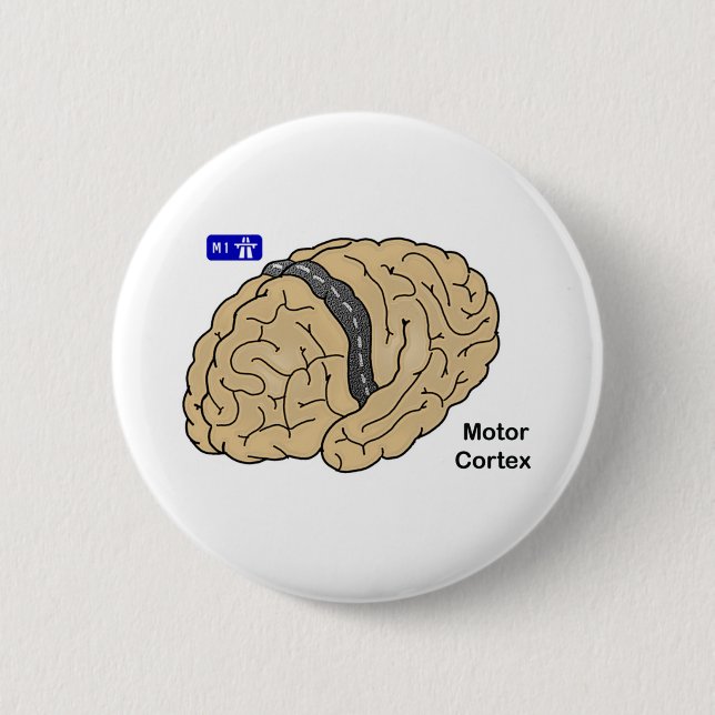 Motor Cortex 6 Cm Round Badge (Front)