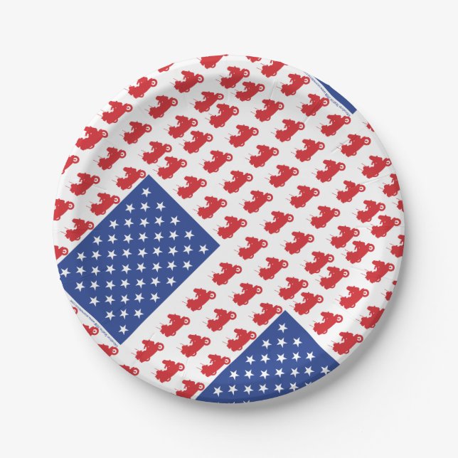 Motor-Cycle-Flag-WING Paper Plate (Front)