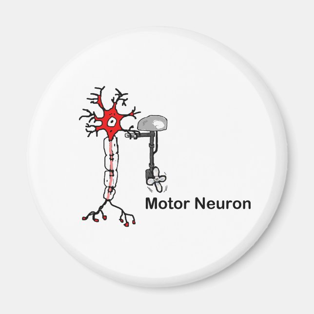 Motor Neuron Magnet (Front)