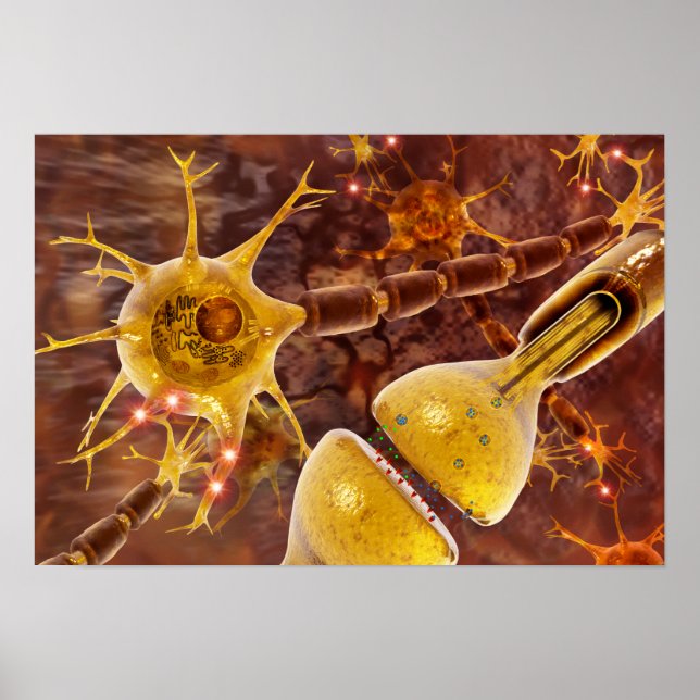 Motor Neurons Poster (Front)