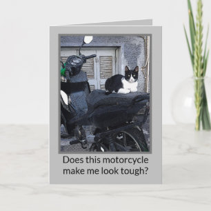 MOTORCYCLE CAT /HUMOR NOTE CARD