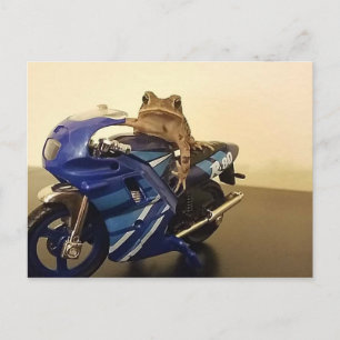 Motorcycle Toad Postcard