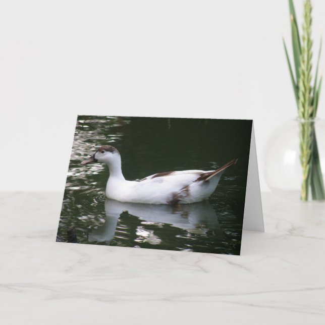 Mottled Duck Greeting Card (Front)