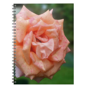 Mottled Peach Rose Flower Nature Notebook