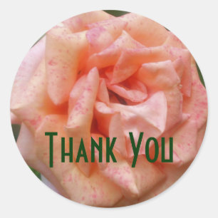 Mottled Peach Rose Flower Thank You Sticker