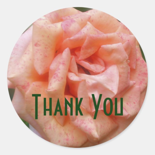 Mottled Peach Rose Flower Thank You Sticker (Front)