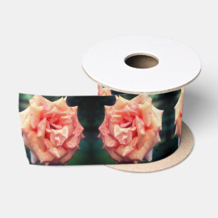 Mottled Peach Rose In Bloom Satin Ribbon