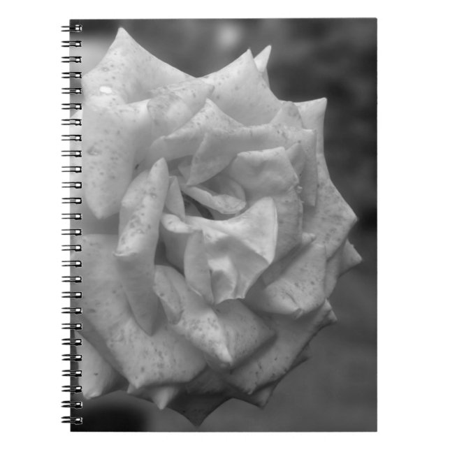 Mottled Rose Flower In BW Notebook (Front)