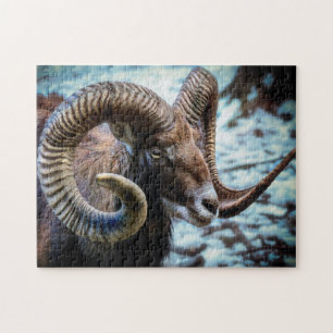 Mouflon on the lake jigsaw puzzle
