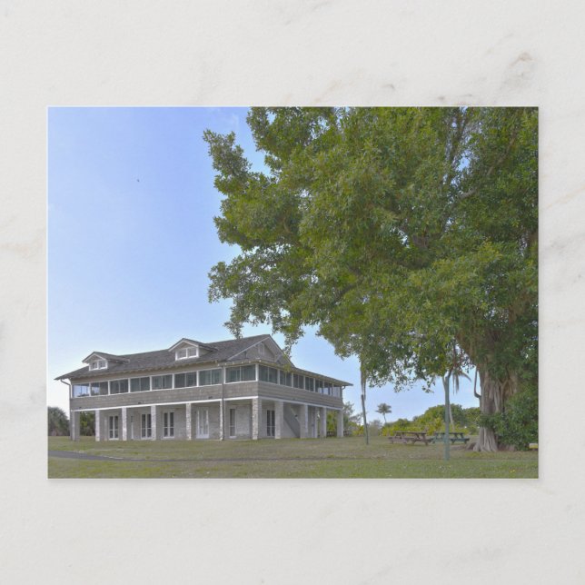 Mound House and Strangler Fig, Florida Postcard (Front)
