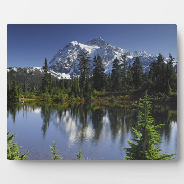 Mount Baker-Snoqualmie National Forest Plaque (Front)