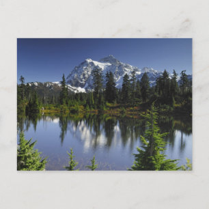 Mount Baker-Snoqualmie National Forest Postcard