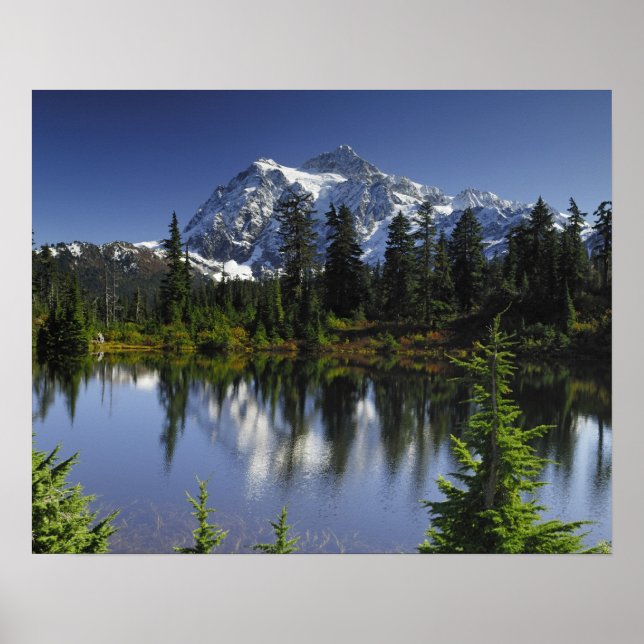 Mount Baker-Snoqualmie National Forest Poster (Front)