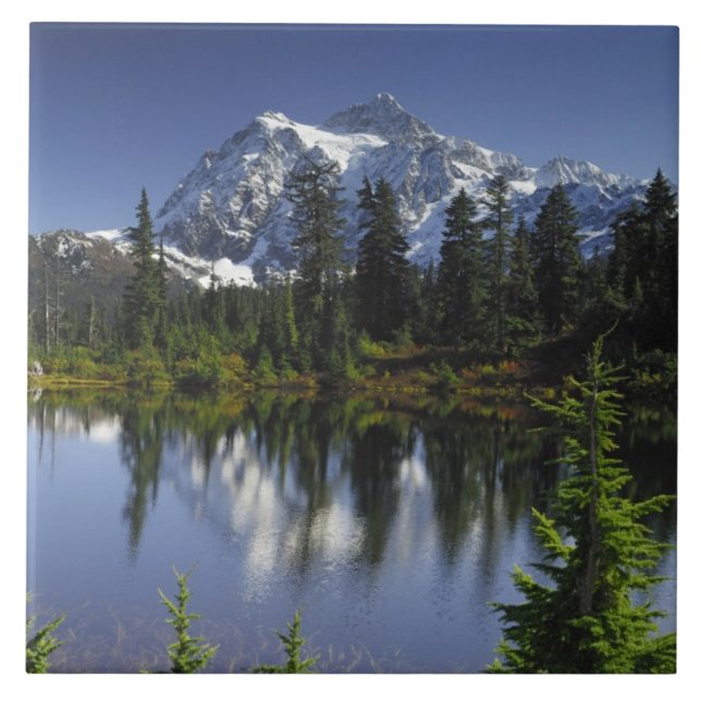 Mount Baker-Snoqualmie National Forest Tile (Front)