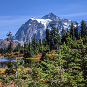 Mount Baker, Washington Fall Colour Poster