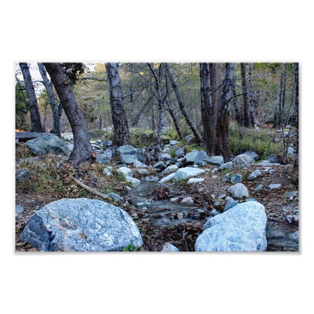 Mount Baldy  Photo Print (Front)