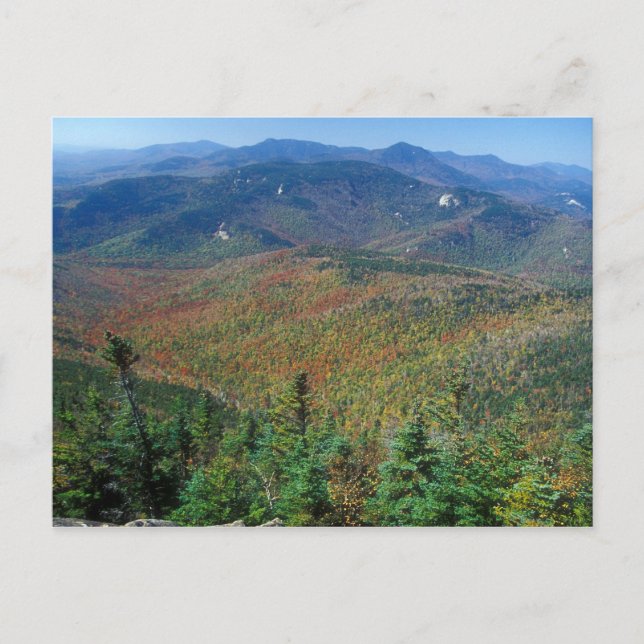 Mount Chocorua foliage view White Mountains Postcard (Front)
