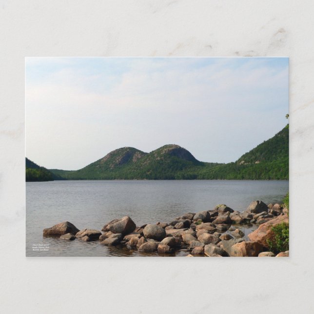 Mount Desert Island Postcard (Front)