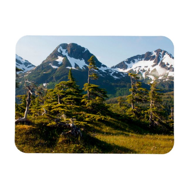 Mount Eccles near Cordova, Alaska Magnet (Horizontal)