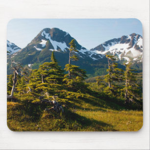 Mount Eccles near Cordova, Alaska Mouse Mat