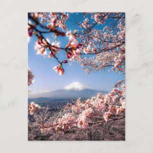 Mount Fuji and Cherry Postcard