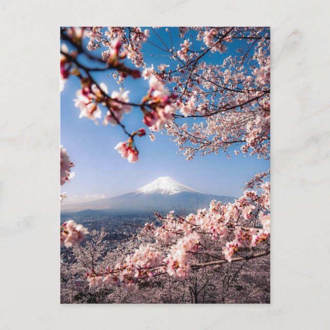 Mount Fuji and Cherry Postcard (Front)