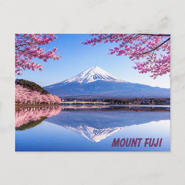 Mount Fuji surrounded by blooming cherry blossoms Postcard (Front)