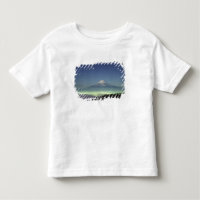 Mount Fuji