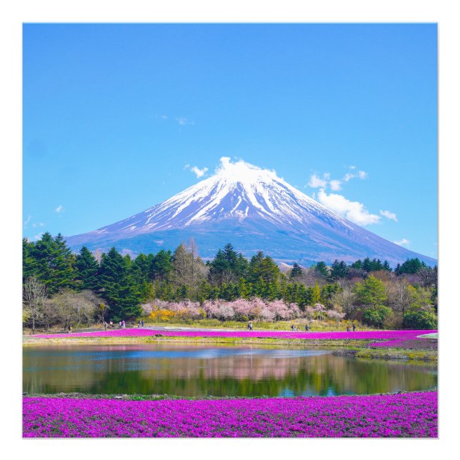 Mount Fuji Trees and Flowers Photo Print (Front)