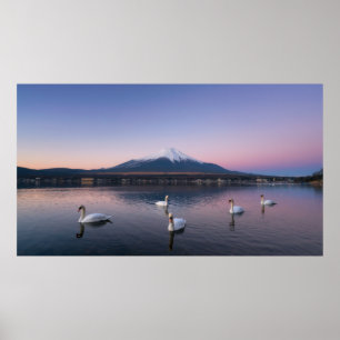 Mount Fuji   Yamanaka Lake with Swans Poster